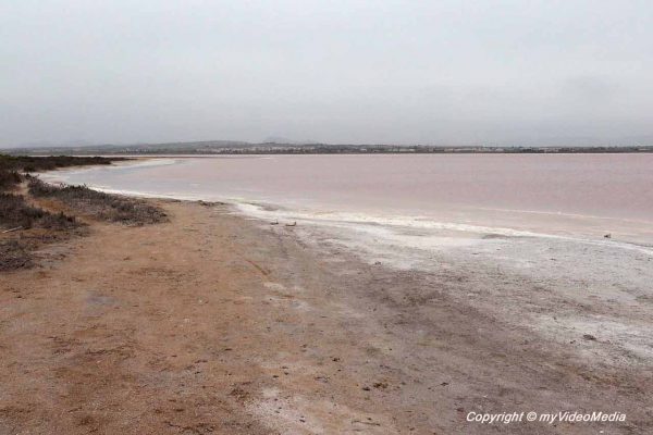 Pink Salt lake