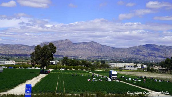 From Murcia to Frankfurt