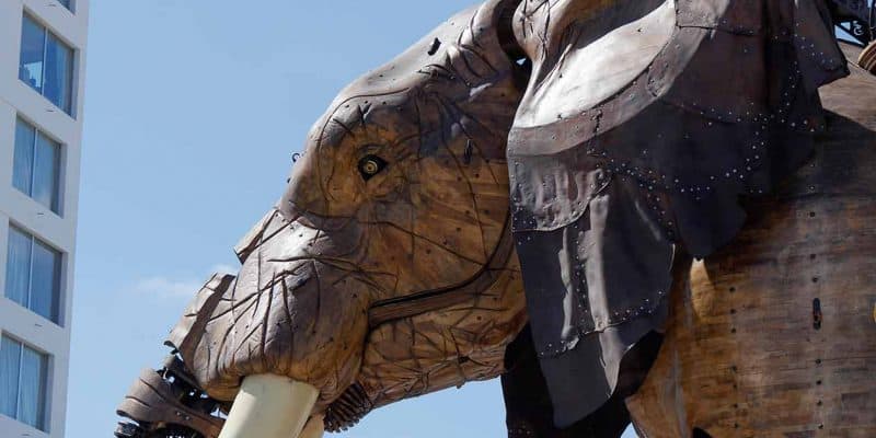 Les Machines de l'ile The big elephant