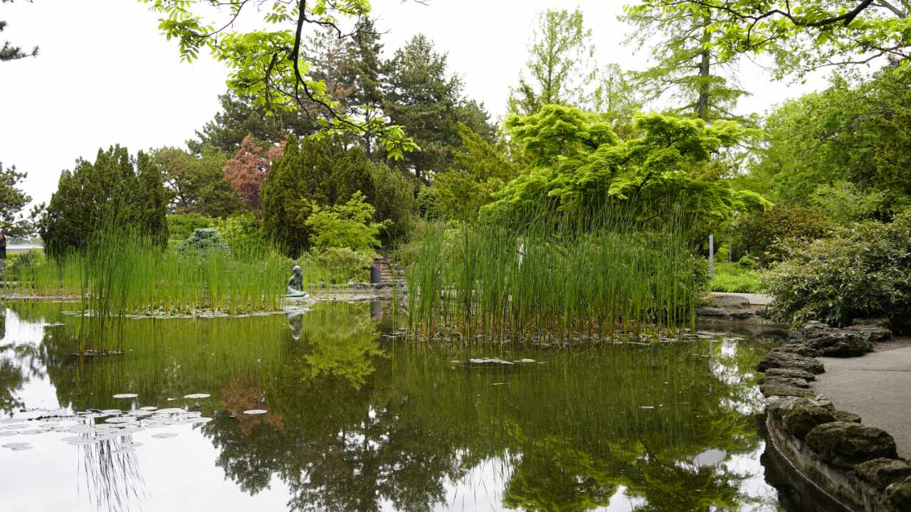 Japanese Garden on Margarte Island