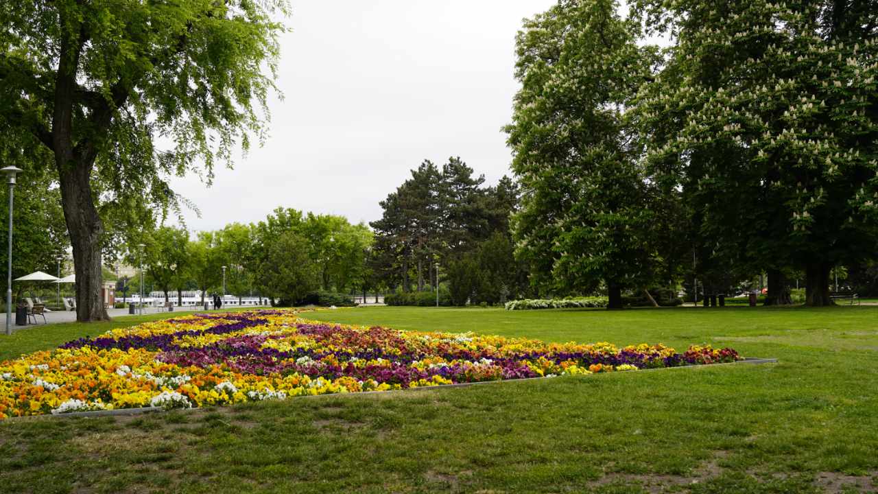 Margaret Island in the middle of the Danube