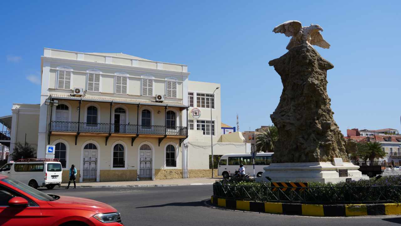 the bird in Mindelo