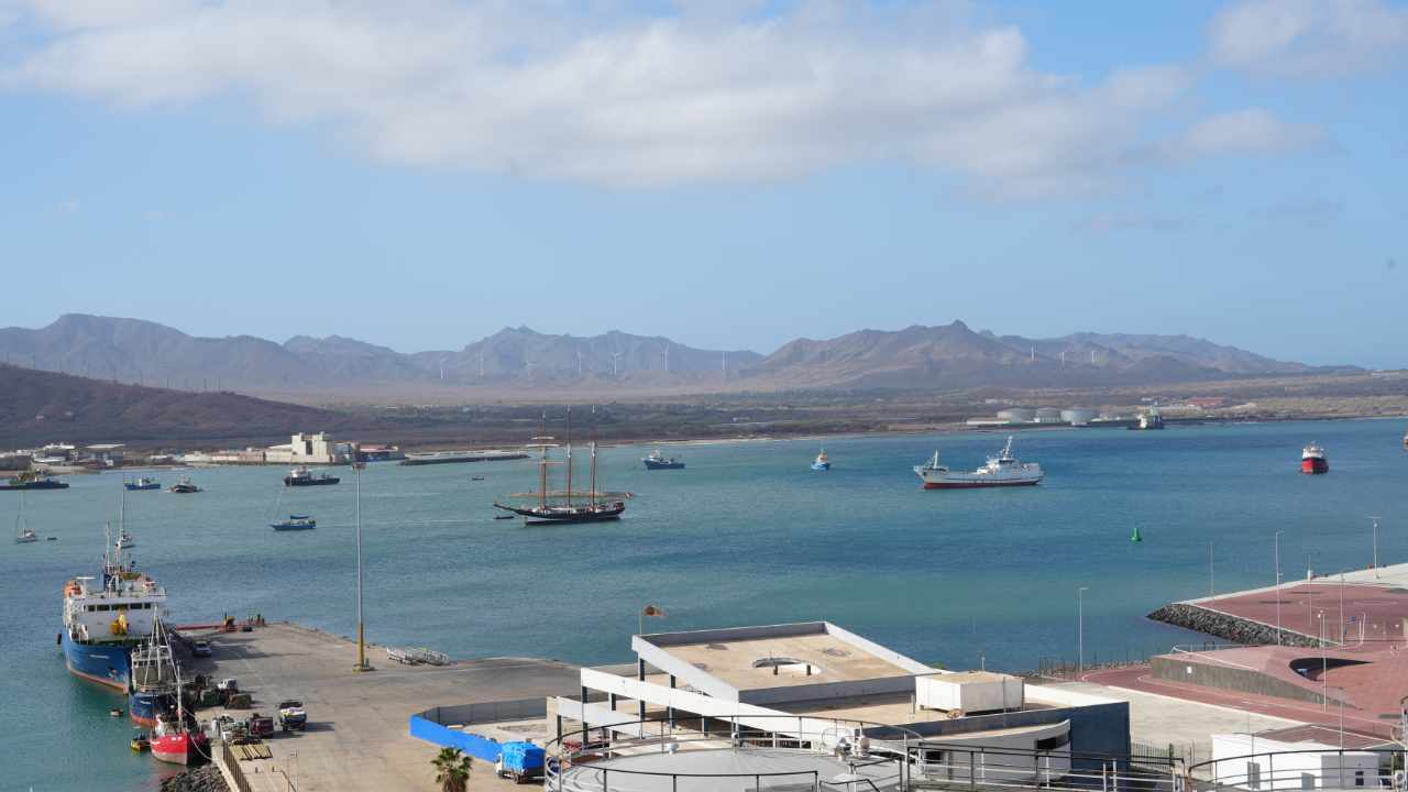 View from Blue Marvin Hotel