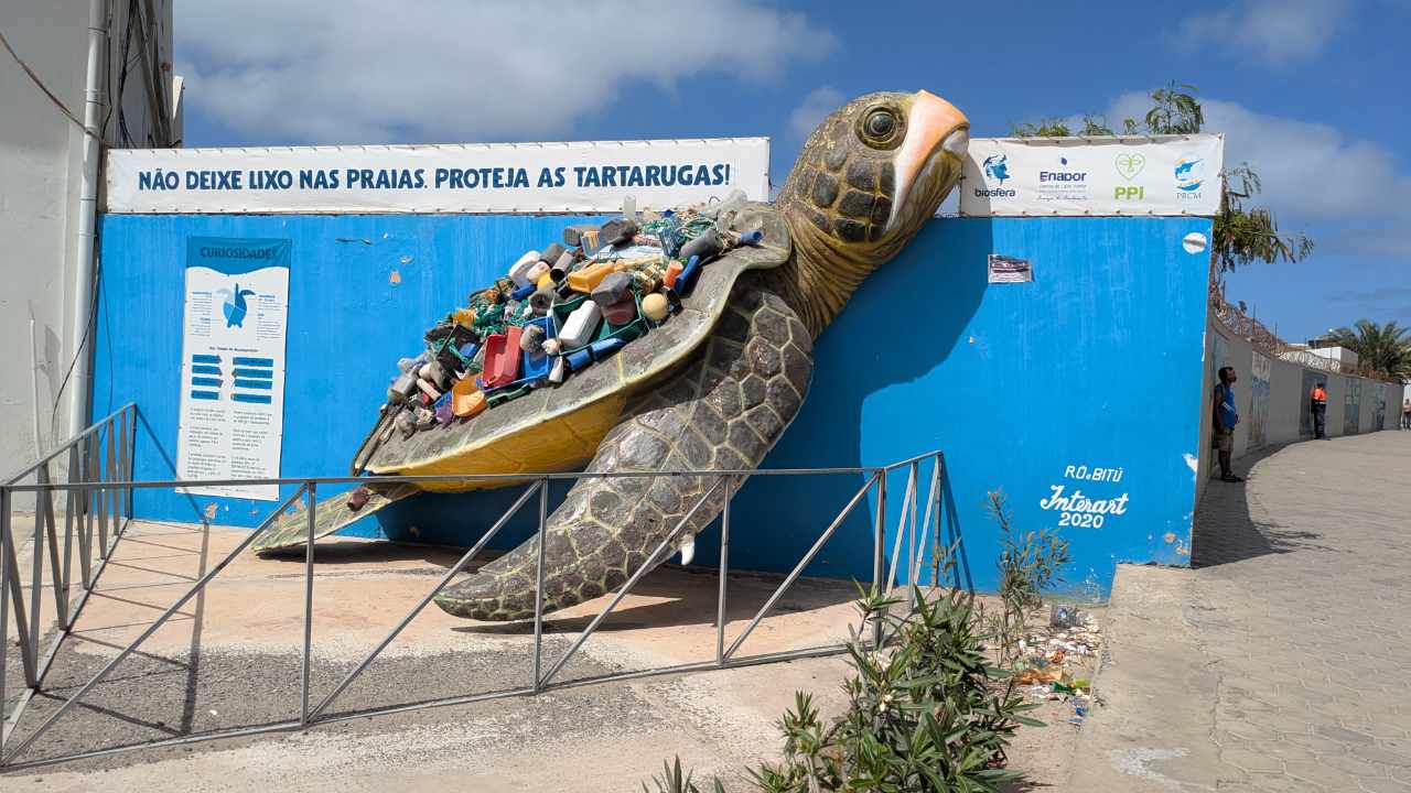 Turtle Sculpture with Trash Remnants